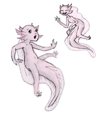 Creature Design - Axolotl